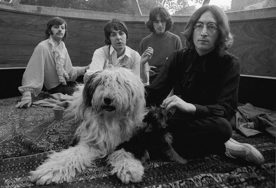 A photo of the Beatles with Martha (Paul's dog). Original source: Reddit, www.reddit.com/r/TheBeatles/comments/183bapd/the_beatles_with_pauls_dog_martha_when_you_find/.